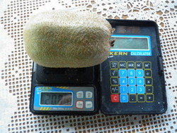 THE AVARAGE WEIGHT OF THE MEGAKIWI FRUIT