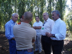    IX ITALIAN KIWIFRUIT CONGRESS 2009 IN LATINA